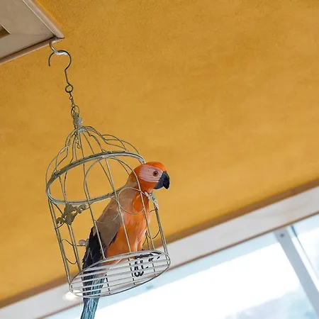 Rammersweier Hof Оффенбург